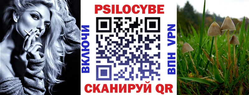 Псилоцибиновые грибы мицелий  наркошоп  Саяногорск 